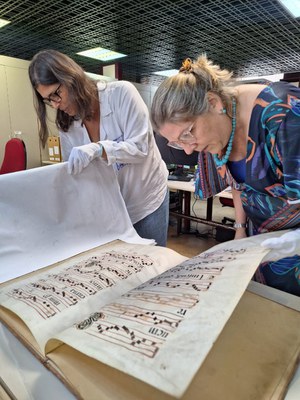 WhatsApp Image 2023-08-21 at 15.20.58.jpeg