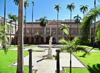 Replantio de palmeira imperial no conjunto tombado da sede