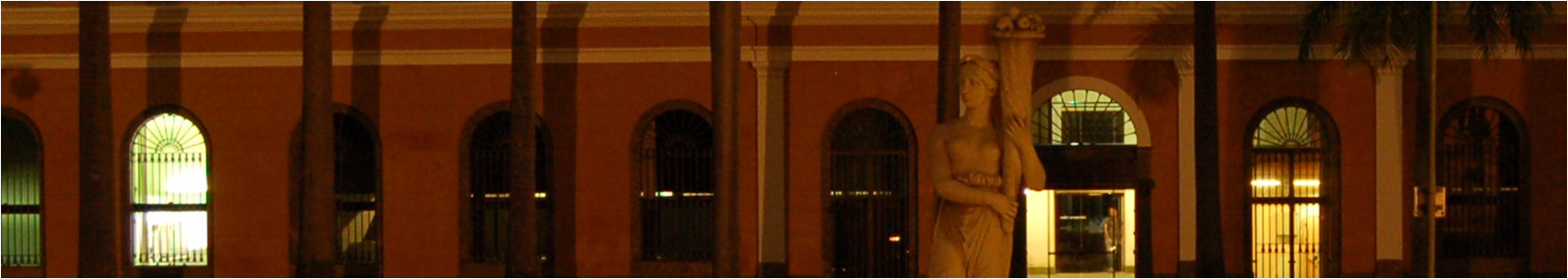 Foto jardim arquivo nacional noite