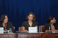 dsc_2840_iv.gif
