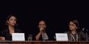 dsc_2846_iv.gif