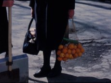 Terra Femme M - Courtney Stephens.jpg