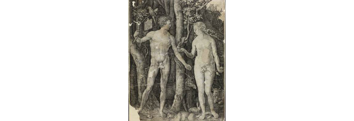 A obra, de 1504, intitulada "A Queda do Homem", faz parte das ilustrações do Apocalipse, série de 15 gravuras editadas em livro.