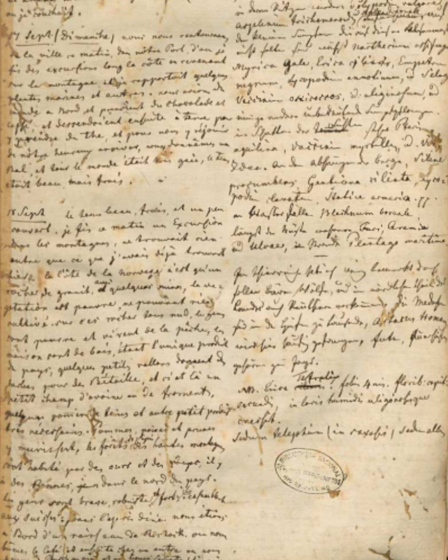 Coleções da Divisão de Manuscritos | Ludwig Riedel