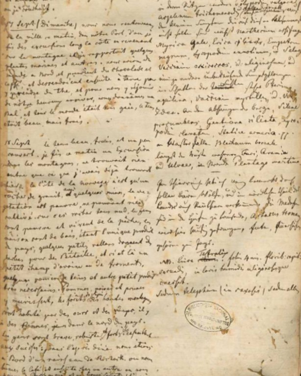 Design sem nome (28).jpg