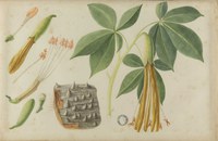 22 de maio, Dia Internacional da Biodiversidade!