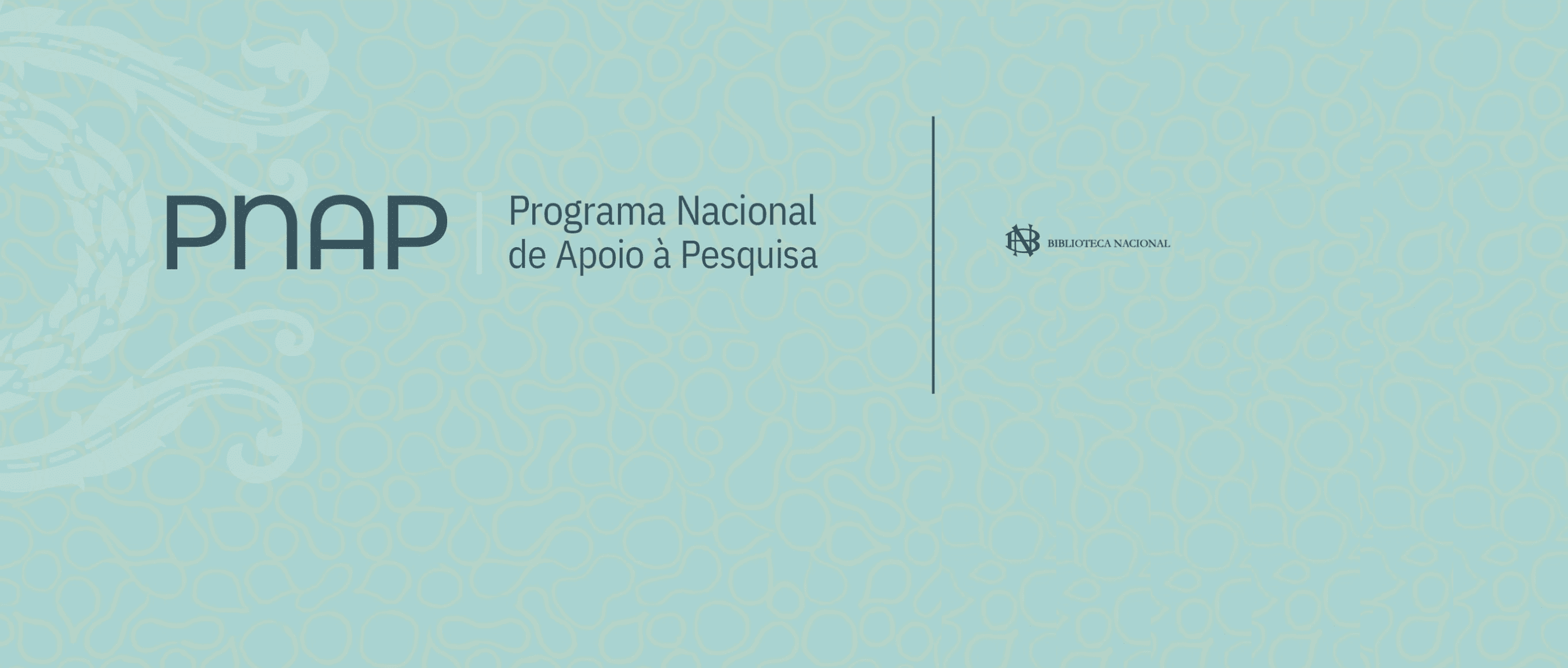 Fundação Biblioteca Nacional abre seleção para bolsistas do Programa Nacional de Apoio à Pesquisa