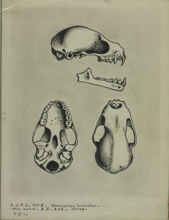 icon512846.jpg