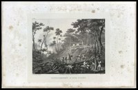 Rio de Janeiro | Floresta da Tijuca