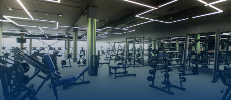 502d7249-e24d-4910-8922-e98739a33c3b (1).png