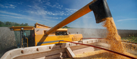 CADE recommends conviction of Bayer for anticompetitive practices in soybean markets
