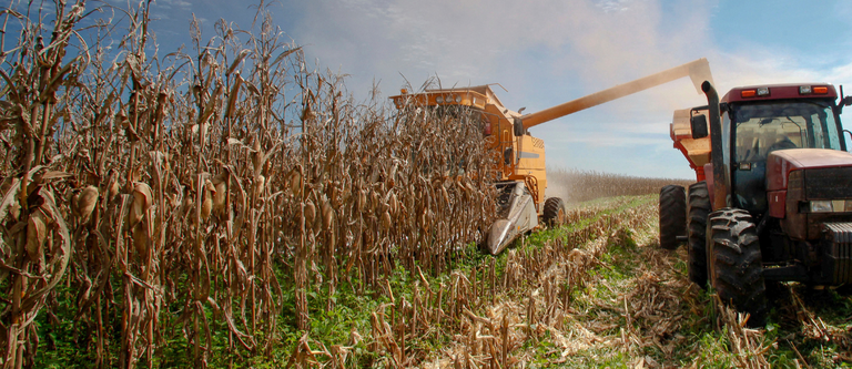 Banner - site Cade - 2023 (3) (1).png
