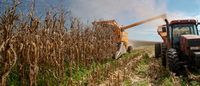 Cade analisará joint venture para produção de etanol de milho