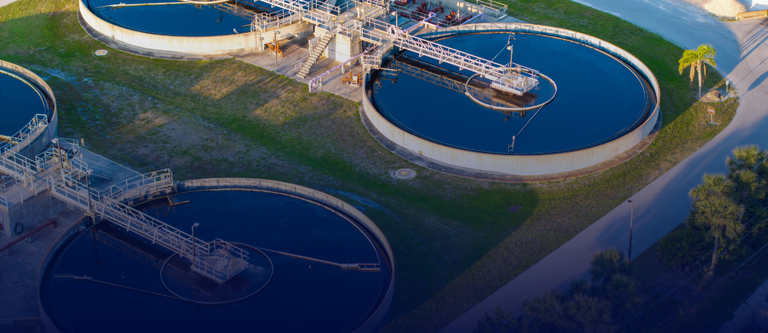 SITE 2026(5) 1.png