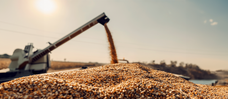 Banner_Gov.br_Cadeia-de-suprimento-alimenticio-e-agricola.png