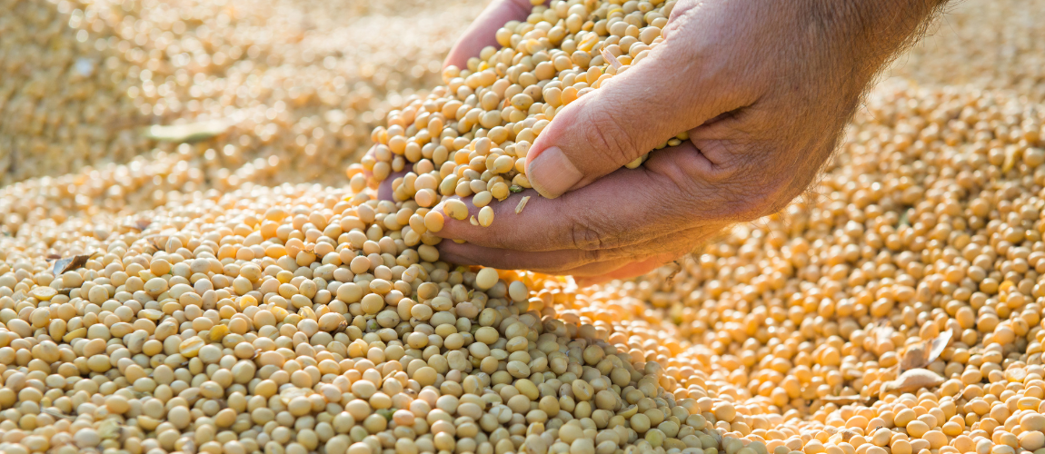 Empresas alegam que acordo beneficiará a qualidade do produto entregue aos agricultores brasileiros