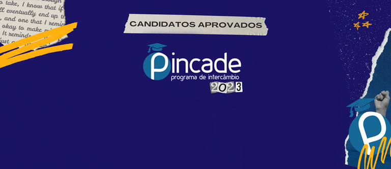 Banner_Gov.br_Candidatos-aprovados-Pincade.png
