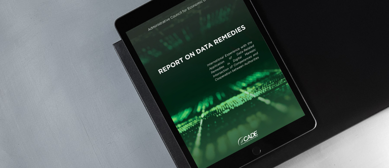 SITE REPORT ON DATA REMEDIES 3.png