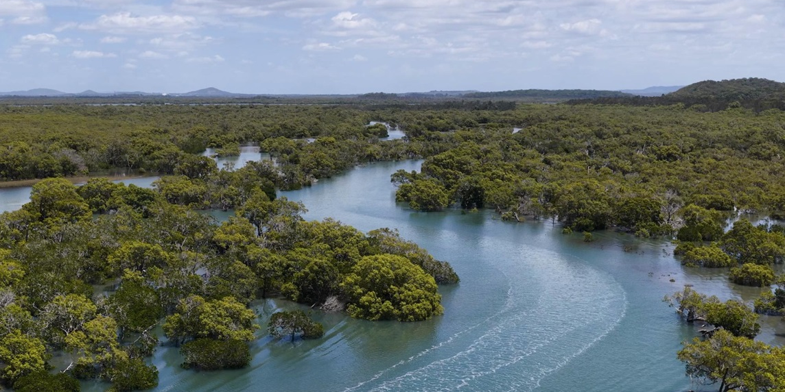 Programa Rede de Pesquisa e Desenvolvimento da Amazônia Legal