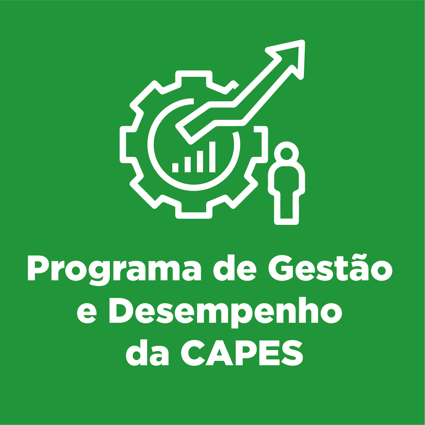 Programa de Gestão e Desempenho da CAPES