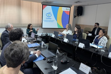 Presidente da CAPES rege a 96ª reunião ordinária do Conselho Superior (Foto: Julia Prado - CGCOM/CAPES)