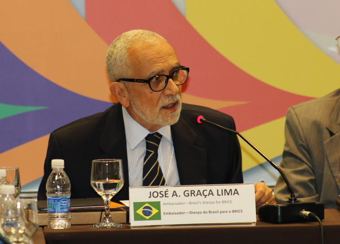332015-encontro-brics-5357