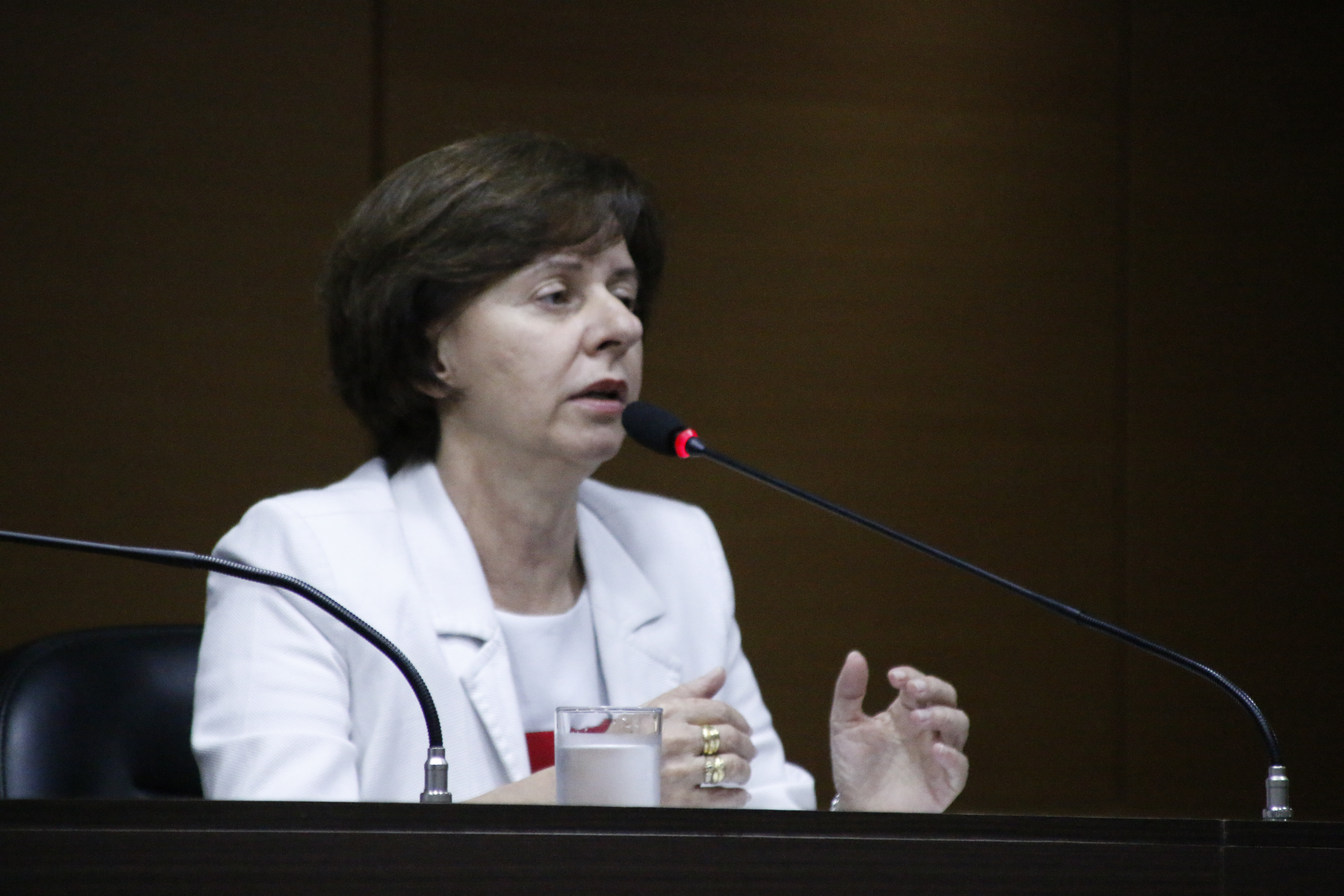 Professora Sônia Báo