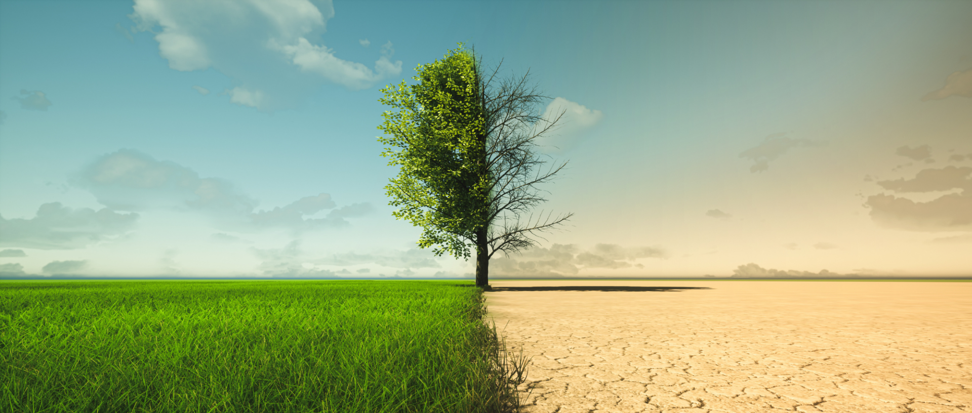 COOPERAÇÃO INTERNACIONAL