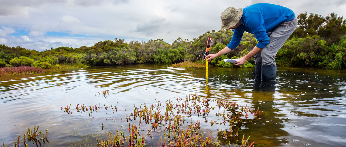 MESTRADO PROFISSIONAL