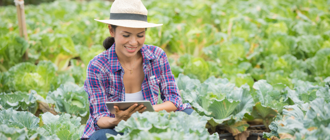 CAPES divulga os dez projetos selecionados para a França