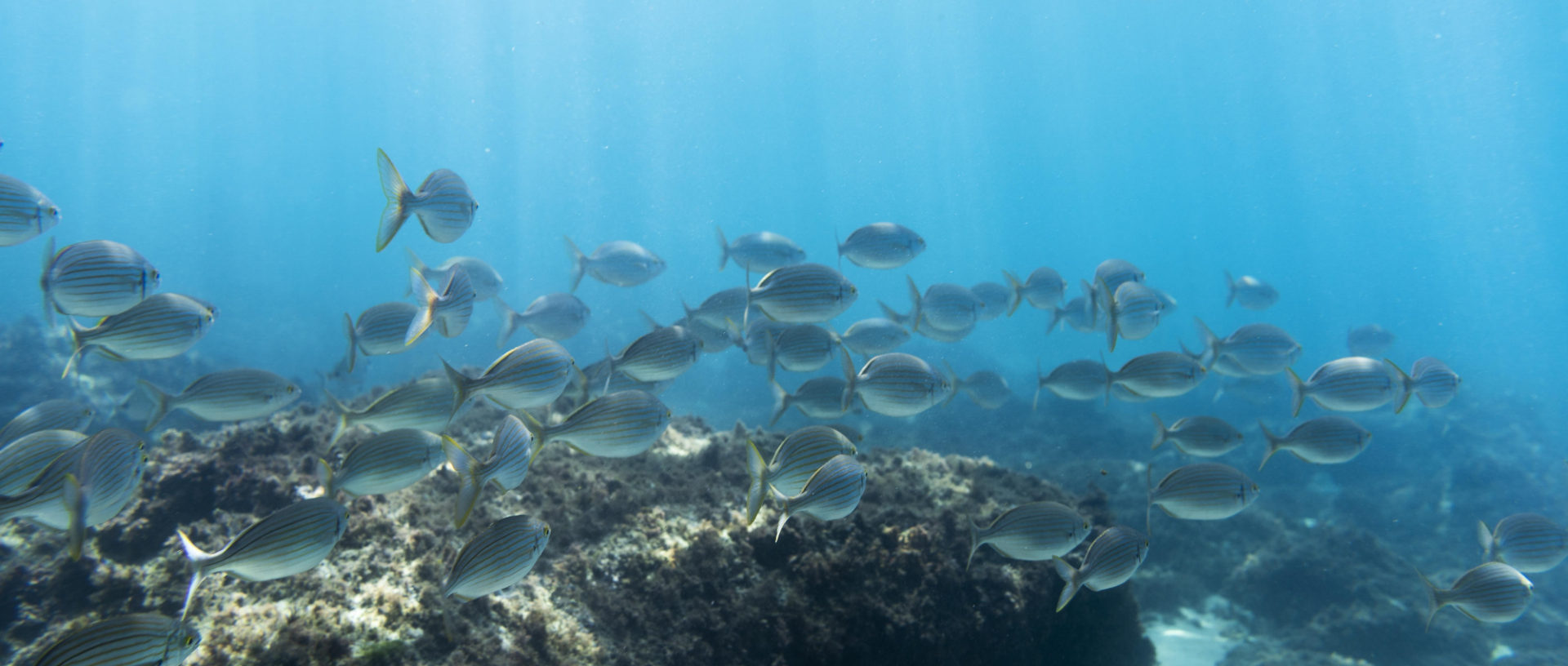 INSCRIÇÕES ABERTAS