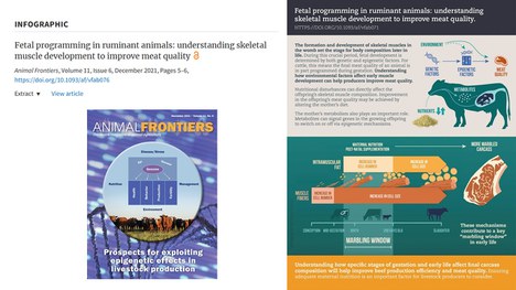 Imagem: Artigo científico (Arquivo pessoal)