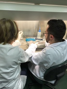 Imagem: Pesquisador estuda formação e estruturação de grupos microbianos (Arquivo pessoal)