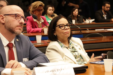 Imagem: Denise Pires de Carvalho participou de audiência na Câmara dos Deputados (Gabriel Tiveron)