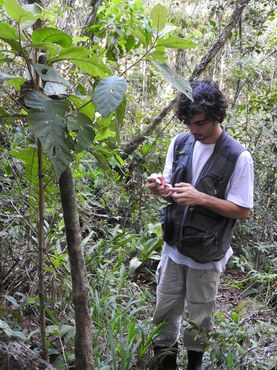 Imagem: Bolsista Bruno Henrique de Castro Evaldt (Arquivo pessoal)