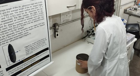 Imagem: Pesquisadora em laboratório (Arquivo pessoal)