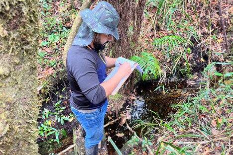 Imagem: Bolsista Anderson Lima (Arquivo pessoal)