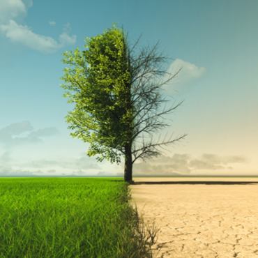 Imagem: Imagem ilustrativa (iStock)