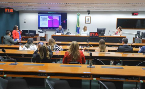 Imagem: Audiência na Câmara dos Deputados (Vinicius Loures/Câmara dos Deputados)