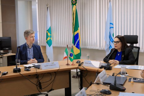 Imagem: Reunião entre a CAPES e universidades da Irlanda (Naiara Demarco - CGCOM/CAPES)