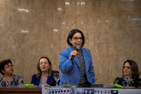 Imagem: Denise Pires de Carvalho, presidente da CAPES (Naiara Demarco - CGCOM/CAPES)