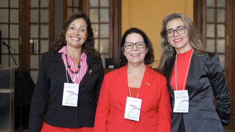 Imagem: Programas da CAPES são apresentados em evento de Nanobiossistemas (Divulgaçao)