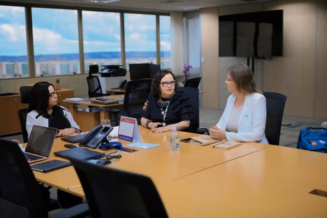 Imagem: Reunião ocorreu na sede da CAPES, em Brasília (Naiara Demarco - CGCOM/CAPES)