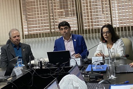 Imagem: Reunião dos integrantes do Conselho Técnico-Científico da Educação Superior -CTC-ES (Divulgação)