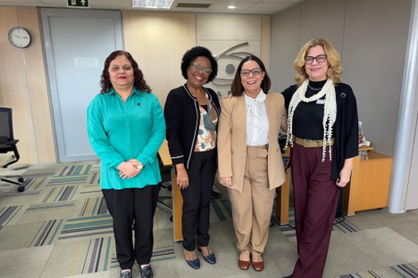 Imagem: Vice-presidente de Educação da Fiocruz visita a CAPES (Julia Prado/CGCOM/CAPES)