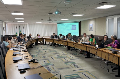 Imagem: Reunião do Comitê de Governança Digital da CAPES (Julia Prado - ASCOM/CAPES)