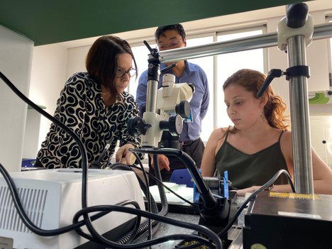 Imagem: CAPES visita laboratórios (Naiara Demarco - CGCOM/CAPES)