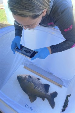 Imagem: Celma Gomes de Lemos (Arquivo pessoal)
