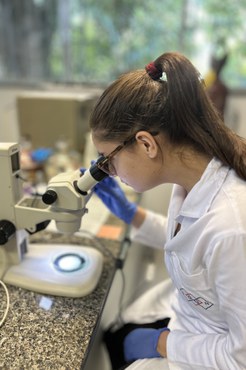 Imagem: Biossensor detecta pela saliva vírus causador da Covid-19 (Arquivo pessoal)