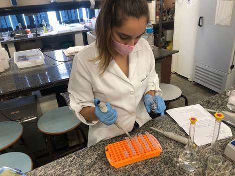 Imagem: Pesquisadora Luiza Mello (Arquivo pessoal)